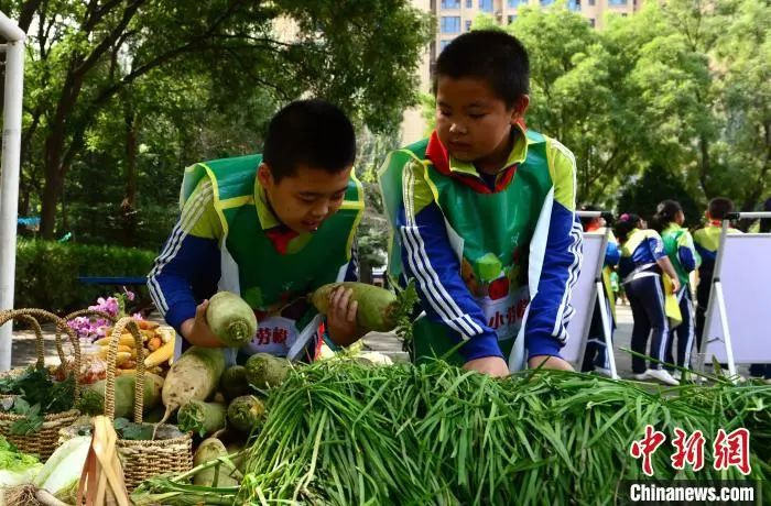 資料圖：2020年9月25日，蘭州市紅山根小學(xué)“心根農(nóng)莊”里上演了一場(chǎng)特別的豐收節(jié)會(huì)。　崔琳　攝